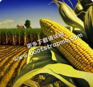 安全可靠，值得信赖 - 星空娱乐