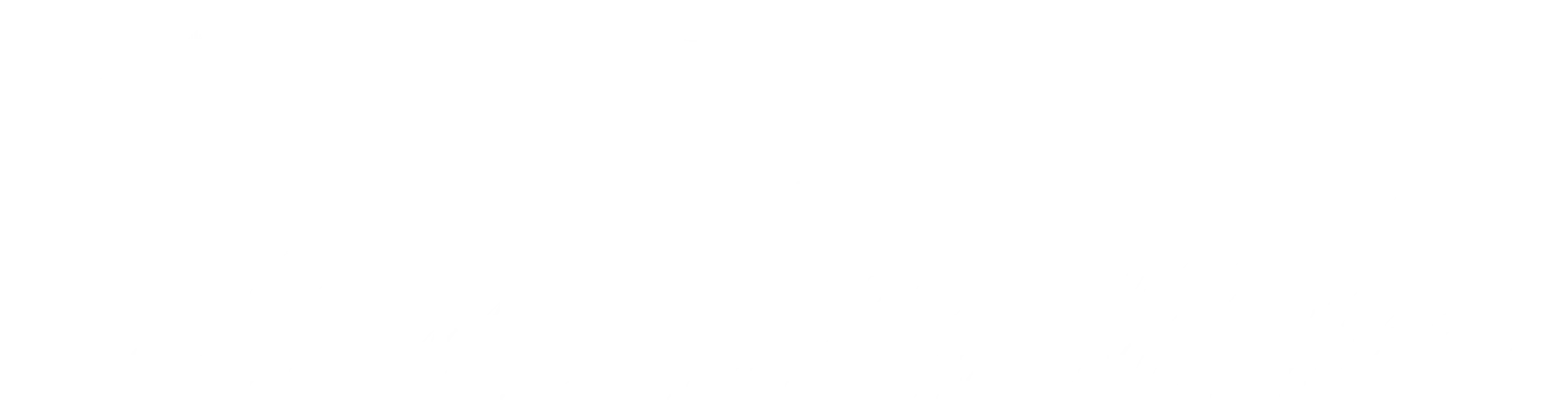 核心服务亮点 - 星空娱乐